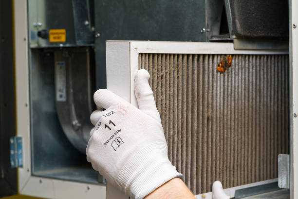 Best Affordable Air Duct Cleaning  in , CA